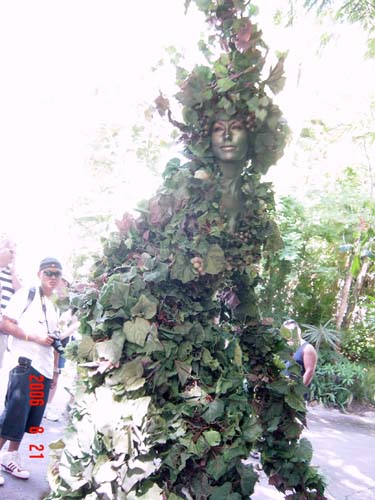 穿树叶衣服脚 ...