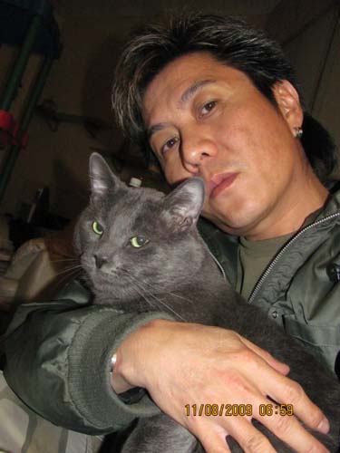 my cat
