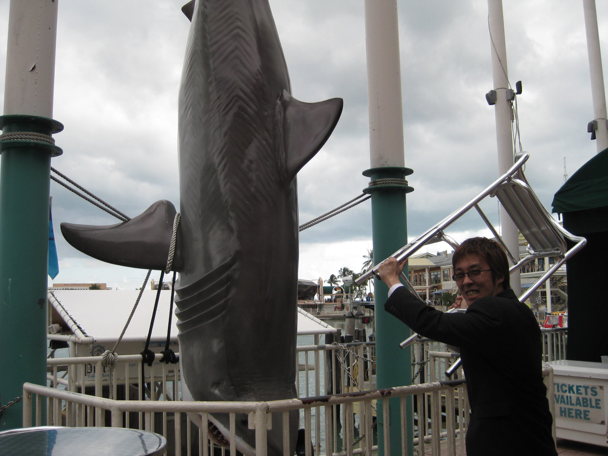 my16