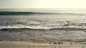 At Laguna Beach Before the Sunset, a summer afternoon by 2009.