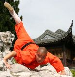 师兄弟之蝎子拳！